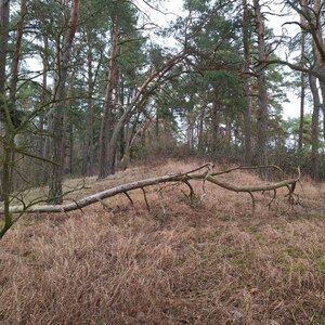 Cyklista 73 on the summit of Úpeřová (2.1.2024 10:06)