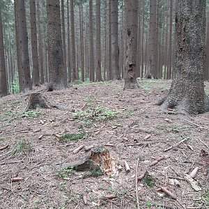 ZdenkaV na vrcholu Hluchanka SZ vrchol (22.5.2022 11:45)