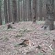 ZdenkaV on peak Hluchanka SZ