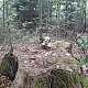 ZdenkaV on peak Smradlava SV