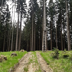 ZdenkaV na vrcholu Smradlava JV vrchol (22.5.2022 10:41)