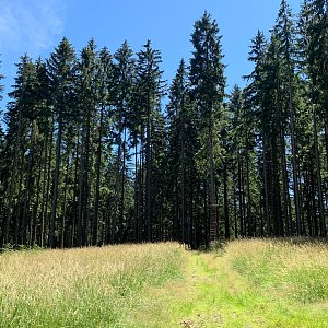 Alexandr Starý na vrcholu Smradlava JV vrchol (25.7.2022 13:30)