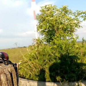 Jiřina on the summit of Dobešov (17.6.2023)
