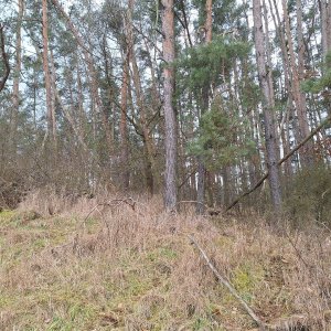 Cyklista 73 on the summit of Hůrka (26.2.2025 11:20)