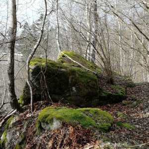 Vladimír Grančay na vrcholu Nad silnicí (28.1.2025 10:12)