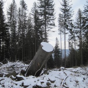ZdenkaV on the summit of Obora SZ (7.2.2025 10:37)