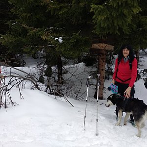Jana Mayerová na vrcholu Slavíč (16.3.2019 16:18)
