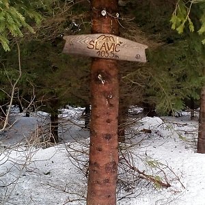 Laina666 na vrcholu Slavíč (2.2.2020 13:32)