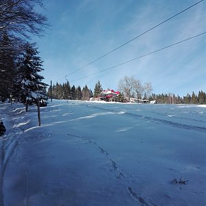 Alča na vrcholu Slavíč (22.2.2020 14:13)