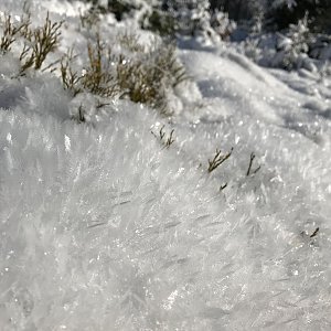 Lenka Nenutilová na vrcholu Slavíč (11.1.2021 12:05)