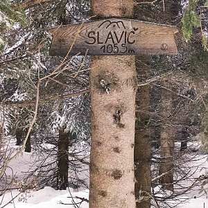 Slavíč