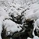 Izygryn na vrcholu Slavíč (26.1.2021)