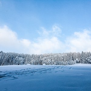 Tereza na vrcholu Slavíč (14.2.2021 8:01)
