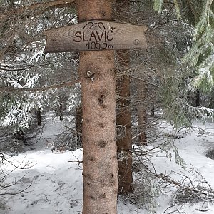 Kyblik na vrcholu Slavíč (27.2.2021 9:35)