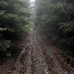 Michal 77 na vrcholu Slavíč (29.5.2021 12:09)
