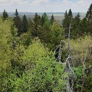 Tom a Míša na vrcholu Devět skal (12.5.2022 12:46)