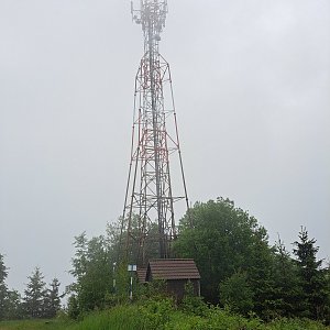 Horalka Anička na vrcholu Prosečný (30.5.2022)
