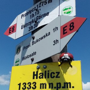 Jiřina on the summit of Halicz (22.6.2025 14:28)