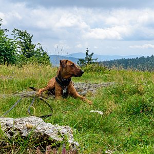 David Paloch na vrcholu Weinsberg (19.8.2021 12:25)