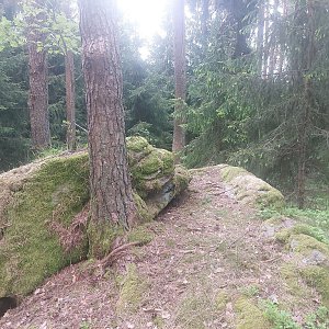 Cyklista 73 on the summit of Ostrý (20.5.2023 18:57)