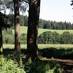 Šumavské podhůří