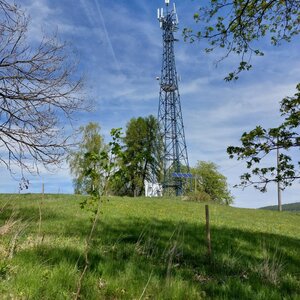 Mykas na vrcholu Novotných vršek (29.4.2024 13:23)