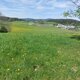 Mykas na vrcholu Novotných vršek