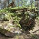 Mykas na vrcholu Kamenný vrch (29.4.2024)