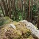 Mykas na vrcholu Kamenný vrch (29.4.2024)