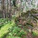 Mykas na vrcholu Kamenný vrch (29.4.2024)