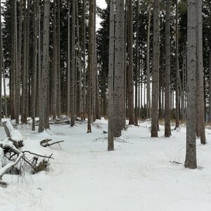 Šumava