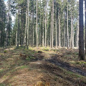 Cyklista 73 na vrcholu Zuklínský les (21.4.2023 14:26)