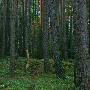 Holi na vrcholu Na Dílech (1.10.2022 9:05)