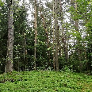 Vladimír Grančay na vrcholu Nad vsí (27.5.2022 16:57)