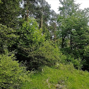 Vladimír Grančay na vrcholu Výří vrch S vrchol (4.6.2022 11:36)