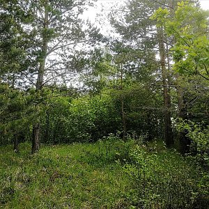 Vladimír Grančay na vrcholu Výří vrch (4.6.2022 11:46)