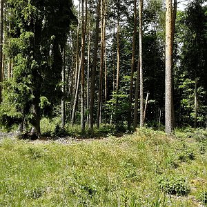 Vladimír Grančay na vrcholu Lazecký vrch J vrchol (4.6.2022 14:20)