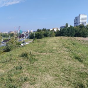 BILI on the summit of Above the Playground (27.8.2026 10:09)