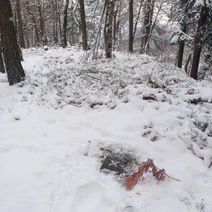 Petr Wendler na vrcholu Pískový vrch (22.11.2024 13:13)