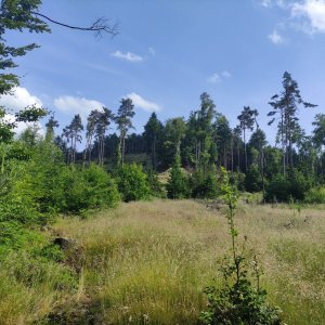 Vratislav Sejkora na vrcholu Pískový vrch (18.6.2025 16:33)