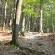 Jaromír on peak Raškův kámen (18.10.2026)