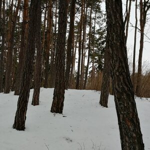 Vladimír Grančay na vrcholu Černišná (8.12.2023 13:42)