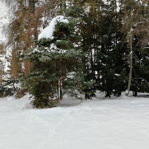 Vladimír Grančay na vrcholu Černišná - J vrchol (8.12.2023 13:25)