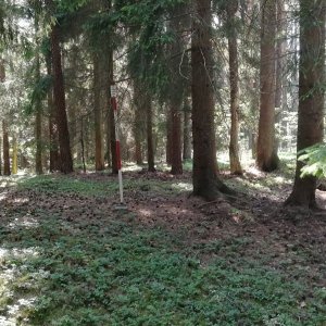 Vladimír Grančay na vrcholu Nad Vlkonicemi (7.7.2023 16:23)