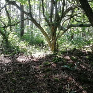 Vladimír Grančay na vrcholu Nad Mladíkovem (7.7.2023 16:33)