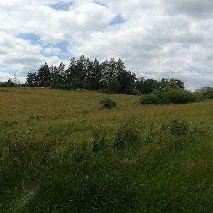 Vladimír Grančay na vrcholu Nad Mlýny (1.7.2023 13:53)