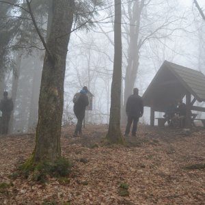 kafur na vrcholu Makyta (31.1.2025 15:54)