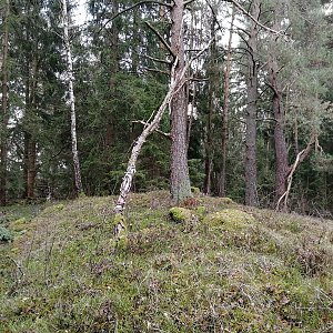 Vladimír Grančay na vrcholu Nad Drvištěm (27.12.2022 13:35)