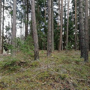 Vladimír Grančay na vrcholu Nad Drvištěm - SV vrchol (27.12.2022 13:39)