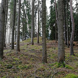 Vladimír Grančay na vrcholu Nad Drvištěm - Z vrchol (27.12.2022 13:47)